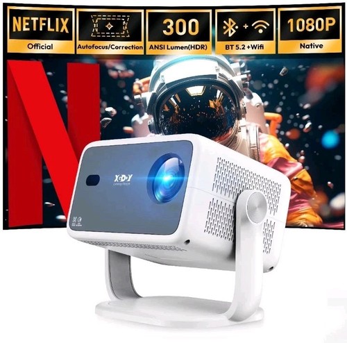 Netflix official auto - official,